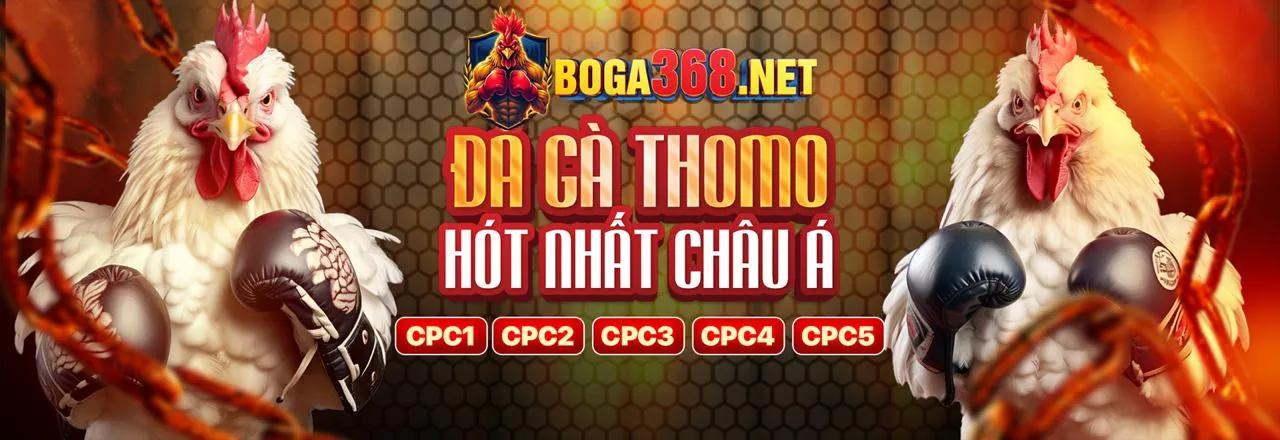 Đá gà cựa sắt quyết liệt, thể hiện sức mạnh và kỹ thuật của chiến kê tại Go88 Club