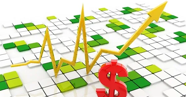 Săn cá lớn khi có cơ hội