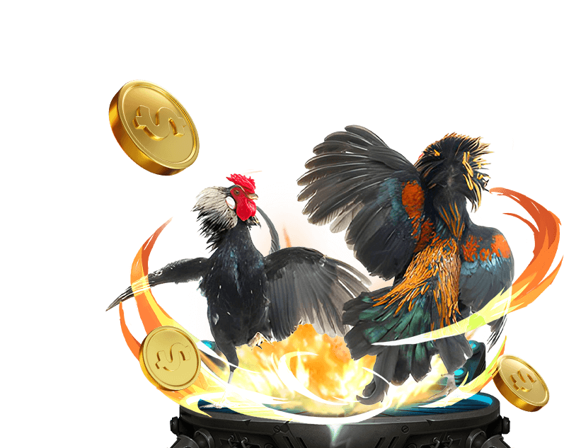 Đá gà cựa dao đầy thử thách, với những pha ra đòn quyết định tại Go88 Club