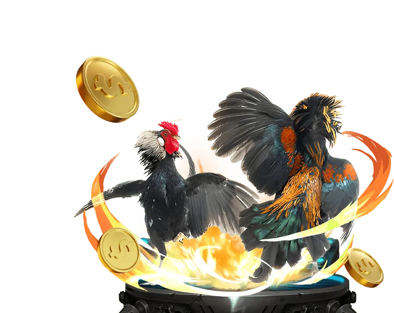 Đá gà cựa dao đầy thử thách, với những pha ra đòn quyết định tại Go88 Club